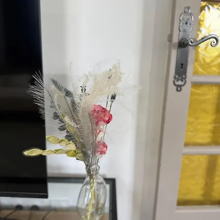 Longchamps 2 - Grand 73m2 Neuf Spacieux Daire *